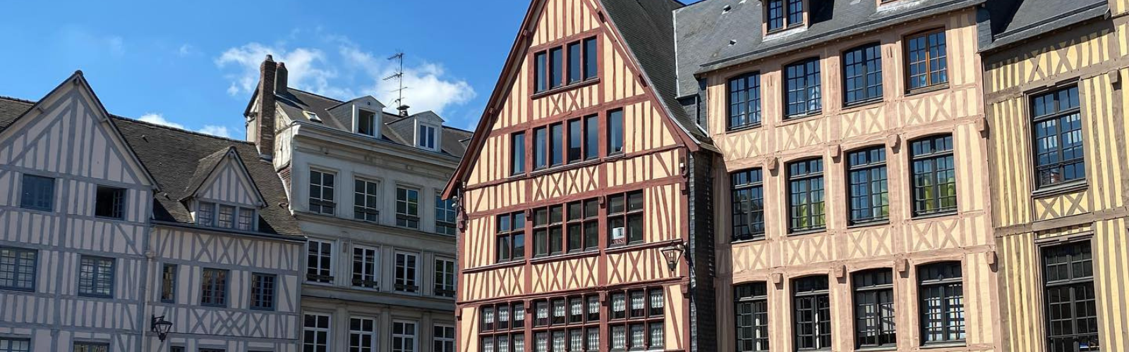 Upper half of buildings in Rouen. They all have similar styles and triangular roofs.